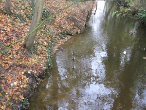 de eede maldegem 007