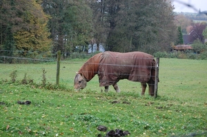 DSC_0759-1