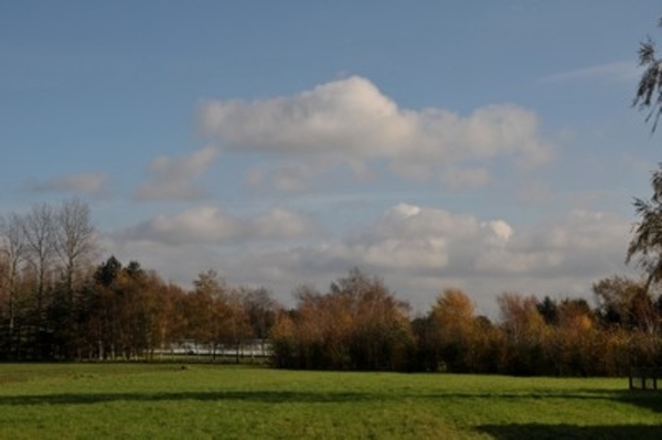 Lozenhoek 2