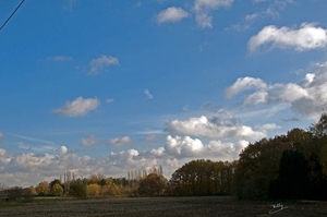 Dennenstraat