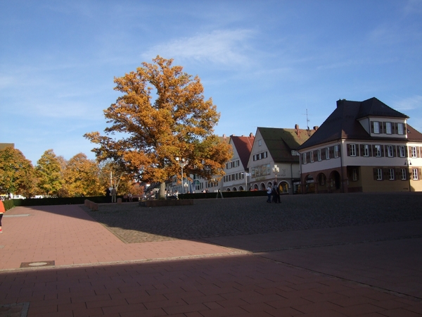 044-Boom in volle herfstkleur op het plein