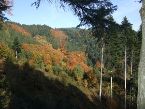 027-Prachtige herfstkleuren