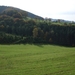 049-Velden en bossen