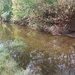 059-Vele forellen in dit water(bach)