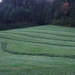 063-Gemaaide velden