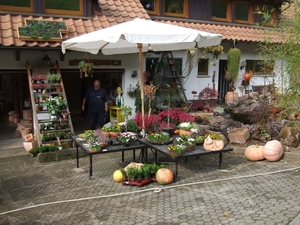 011-Planten