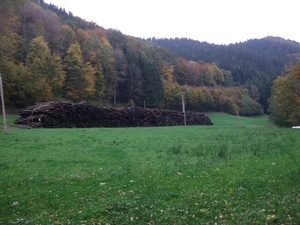 027-Stapel hout dat wordt natgehouden