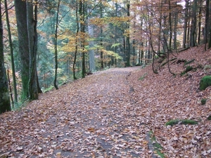 020-Bergop