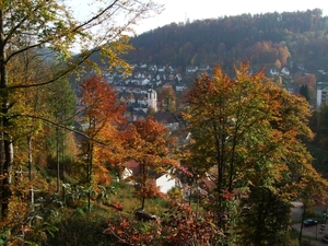023-Zicht op Triberg