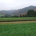 005-Groen uitzicht
