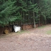 012-Houtopstapeling
