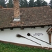 019-Backhaus