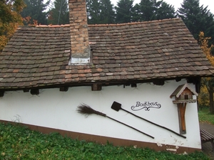 019-Backhaus