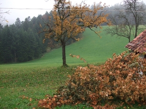 021-Herfstkleuren