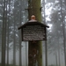 032-'Flechtenbehang an Waldbäume