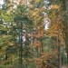 039-Herfstkleuren