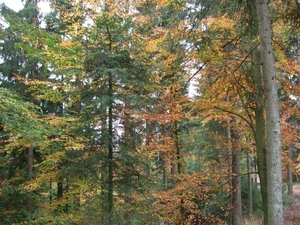 039-Herfstkleuren