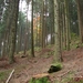 046-Rechte stammen