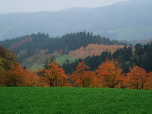 064-Nog even herfstkleuren
