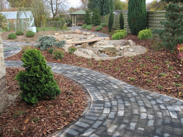 tuin 3-11-2008  tot 11-11-2008 015