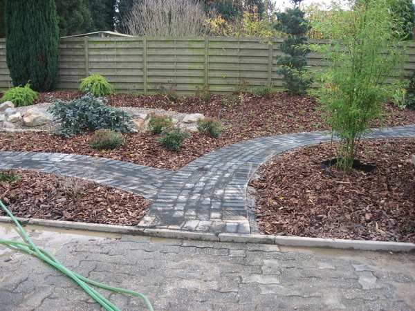 tuin 3-11-2008  tot 11-11-2008 016