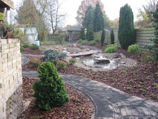 tuin 3-11-2008  tot 11-11-2008 019