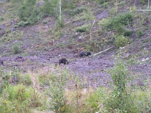 080911_STOTEN_8