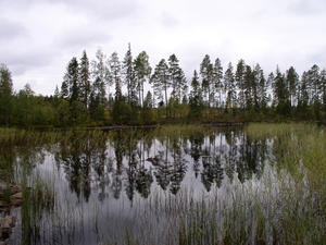 080912_ALDALEN_04