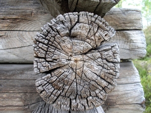 080912_ALDALEN_12