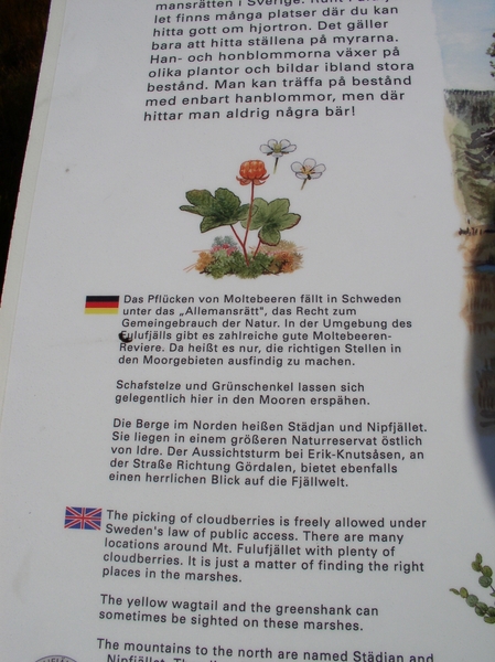 080913-Elg Park + Njupeskars - 020