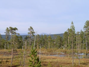 080913-Elg Park + Njupeskars - 022