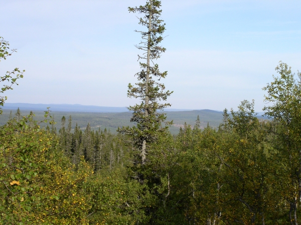 080913-Elg Park + Njupeskars - 046