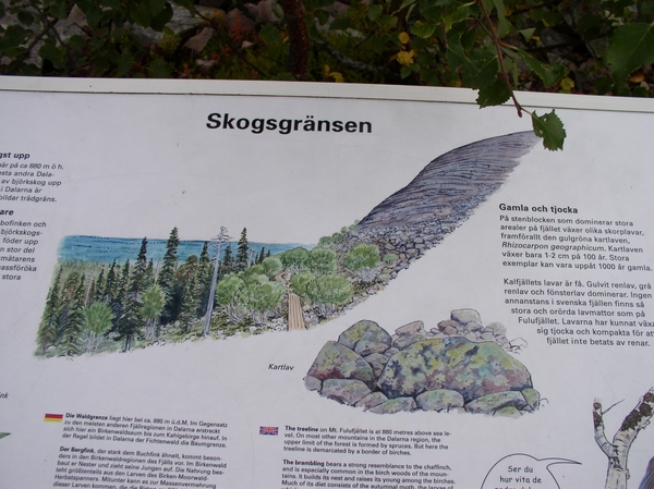 080913-Elg Park + Njupeskars - 048