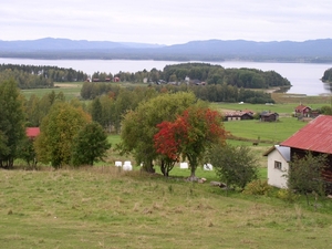 080914_ORSA _ 007
