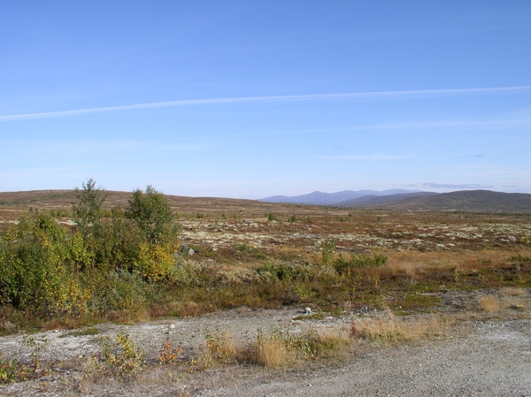 080916_ROROS NO_ 007