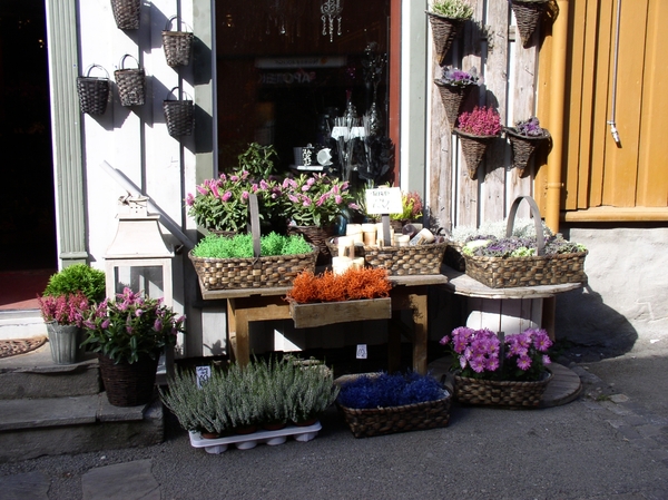 080916_ROROS1 NO_ 005