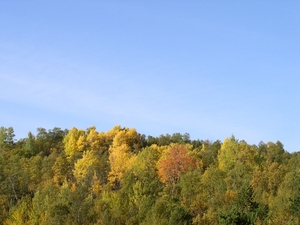 080916_ROROS1 NO_ 079