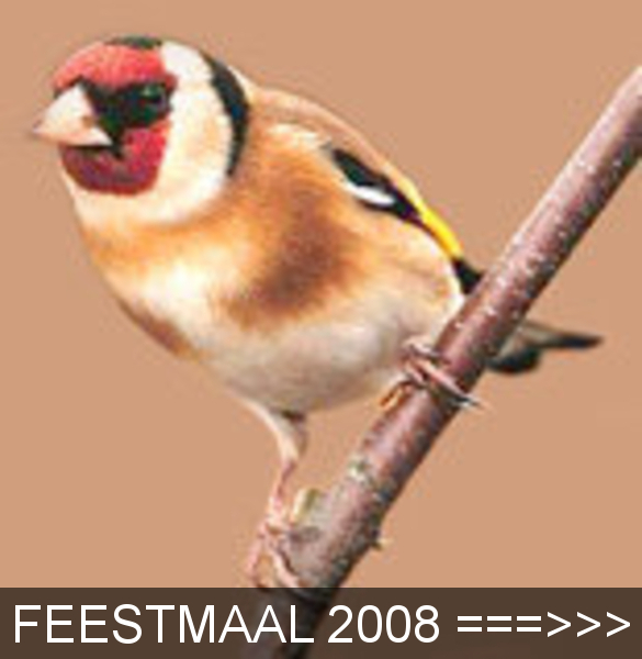 distelvink