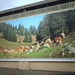 1b_Ebbs_Fohlenhof_Haflingerstoeterij_IMAG0764