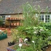 4IN Great Dixter garden - Nursery