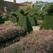 4IN Great Dixter garden - topiary