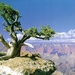 landschap 54  Grand Canyon (Medium)