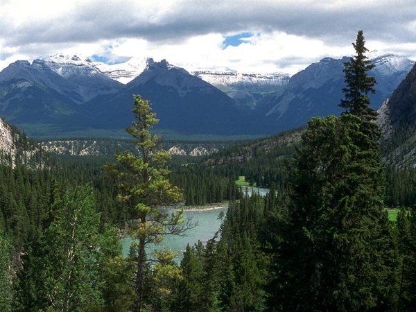 landschap 55  Alberta Canada (Medium)