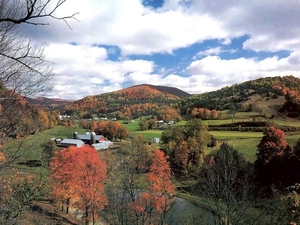 landschap 57  Vermont - USA (Medium)