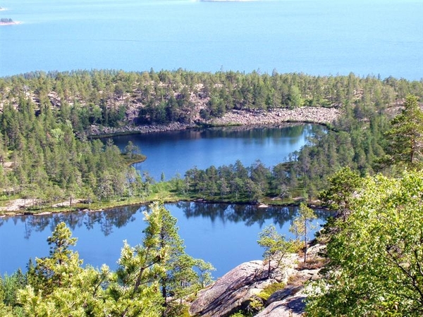 landschap 69 Finland (Medium)