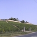 Frankrijk 276   Saint Emilion (Medium)