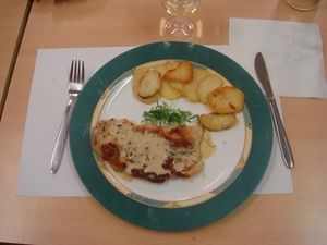 gepaneerd kalkoenfilet (2)