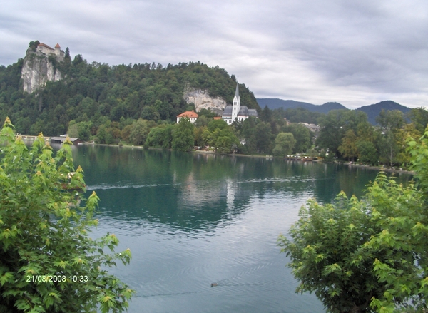 BLED