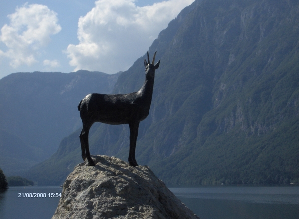 BOHINJ