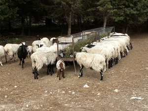 Kaart 2 (97)